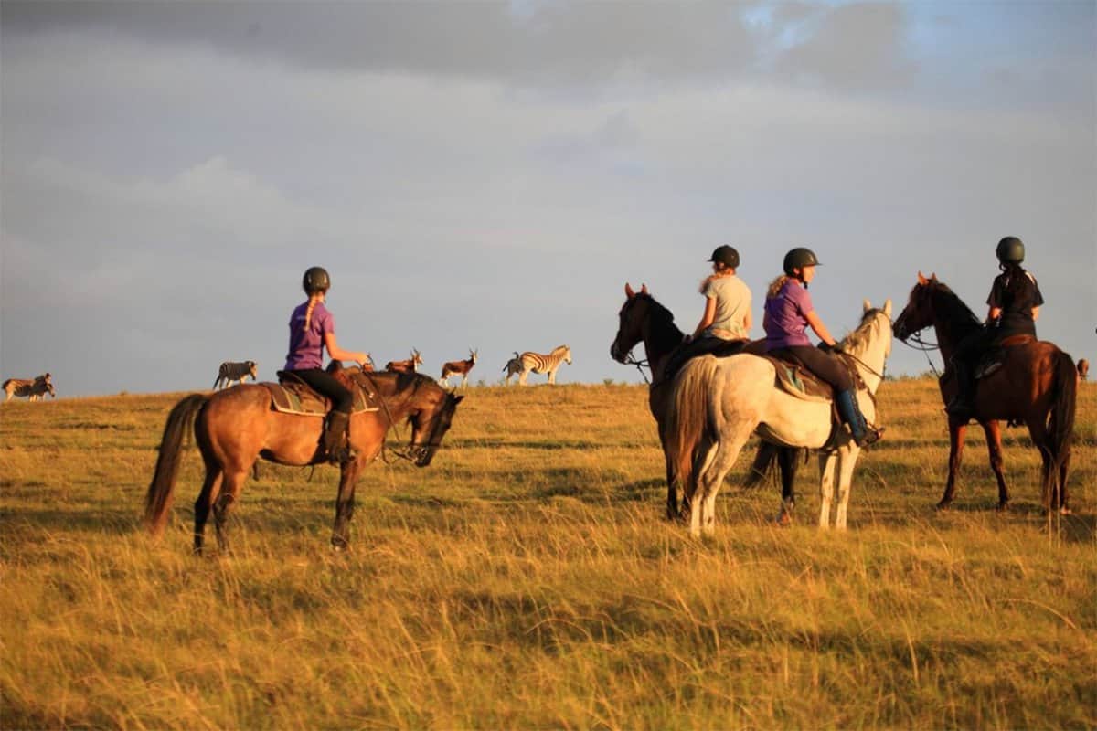 Activities while on Safari