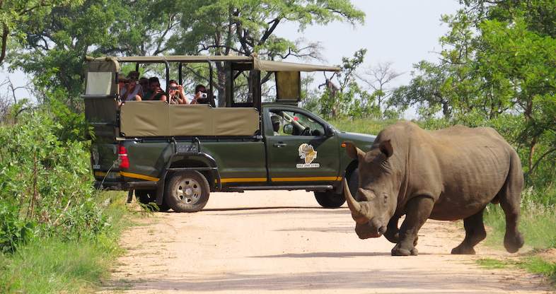 Activities while on Safari